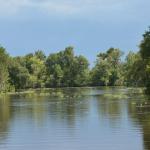 OTRA2014_1567 (September 03, 2014)